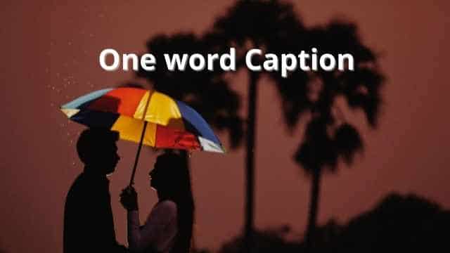 550+ One Word Captions For Instagram [2024]