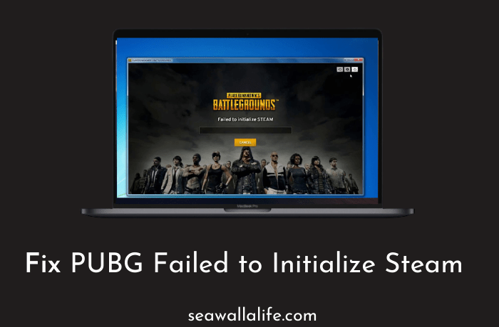 PUBG Failed To Initialize Steam Error