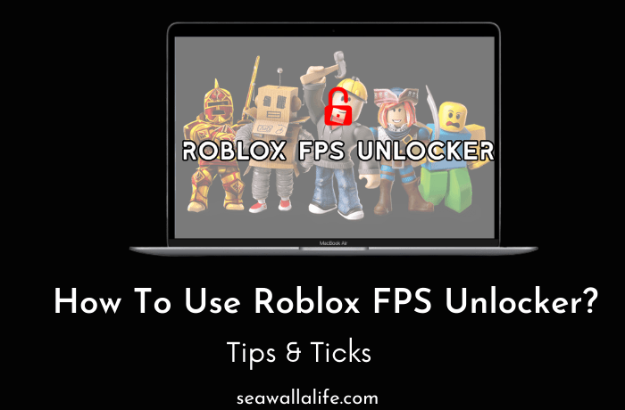 Roblox FPS Unlockers – Does It Allowed To Use In 2024?