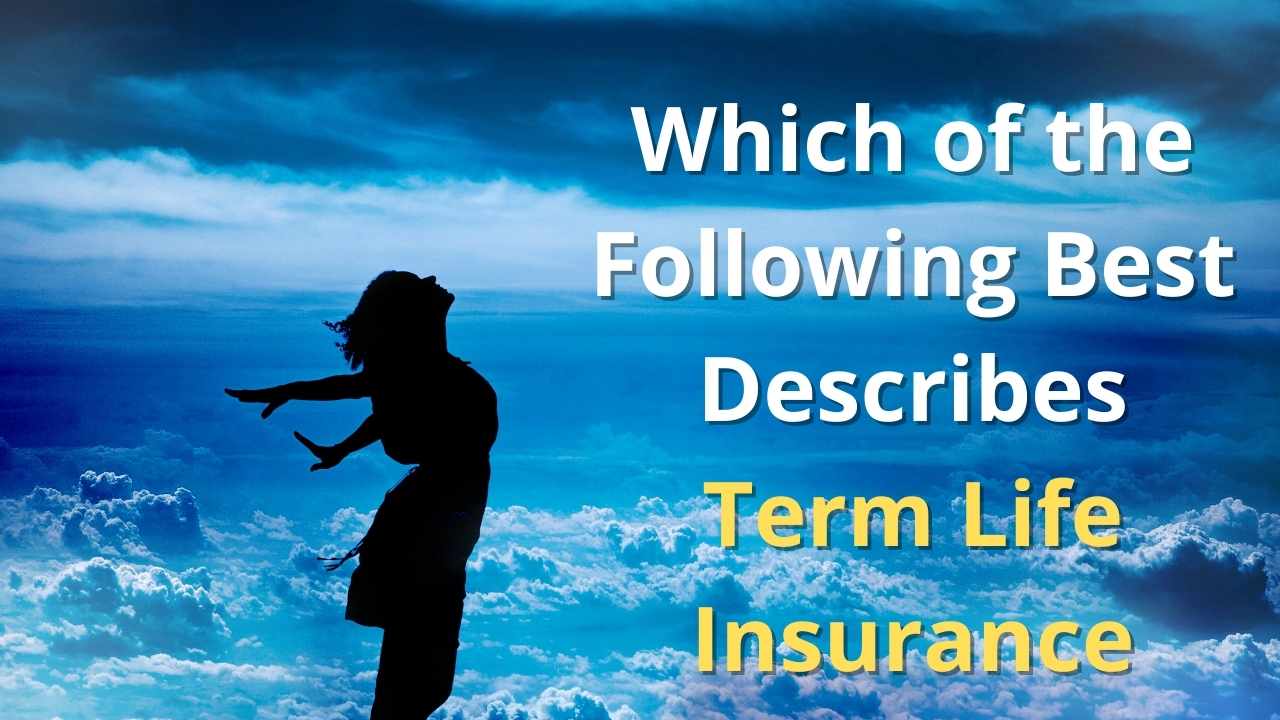 Which Of The Following Best Describes Term Life Insurance